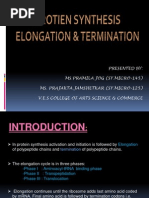 Protien Synthesis Elongation & Termination