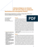 Aplicaciones Biotecnológicas en Minería Aurífera