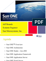 Introduction to SunOne