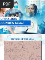 Download SEDIMEN URINE by elyoka SN123945535 doc pdf