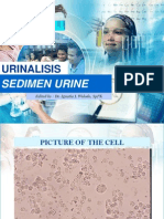 Sedimen Urine