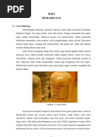 Download Asam Nitrat Dari ammonia by Endah Dahya SN123948629 doc pdf