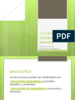 celulassistemainmune-100302210953-phpapp02