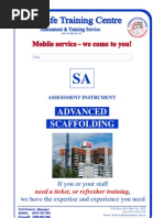 Download Scaffolding by Gabriel Chia SN123953494 doc pdf