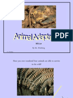 Animal-Adaptations Powerpoint