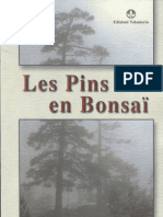 Les Pins en Bonsai - French