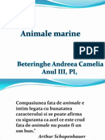 animale marinee 2