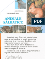 animale salbatice