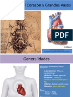 1-1-anatomia-del-corazon-y-grandes-vasos.pdf