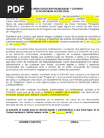 Carta Para Deslindar Responsabilidades  Política  Gobierno