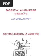 Digestia La Mamifere