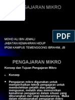 Pengajaran Mikro