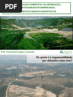 palestras_palestraRachel