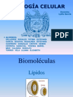 LIPIDOS