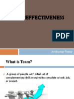 Team Effectiveness