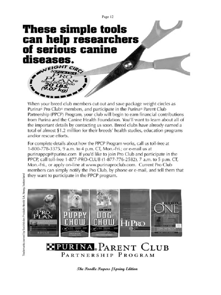 Types of poodles picture