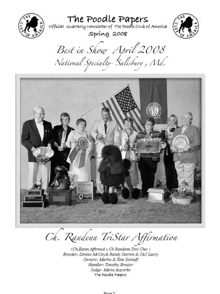 Poodle essay picture