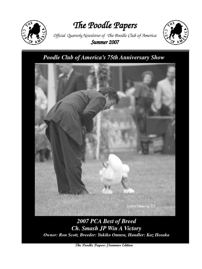 What were poodles bred for picture