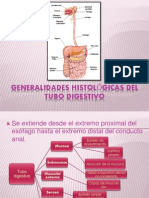 Histologia Genral Del Tubo Digestivo