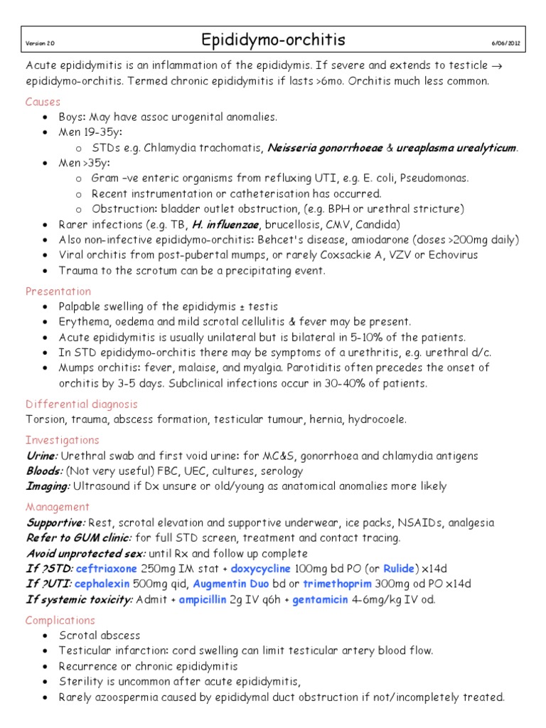 Epididymo Orchitis | PDF