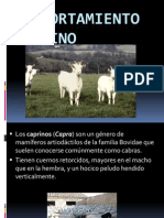 `presentacion caprinos.pdf