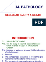 Cellular Injury & Death