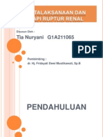 Penatalaksanaan Dan Terapi Ruptur Renal