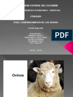 comp ovino.pdf