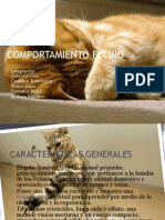 comportamineto felino.pdf