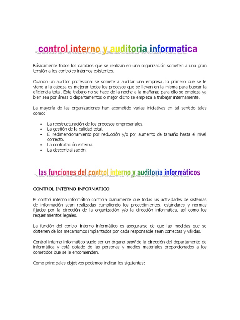 Control Interno en Informatica | PDF | Software | Informática