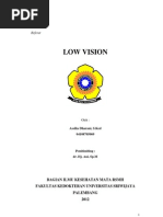 Download low vision referat by Rees Skaran SN124231701 doc pdf