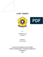 Low Vision Referat