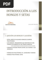 (INTRODUCCIÓN A LOS HONGOS Y SETAS COMP)