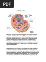 La Celula Animal