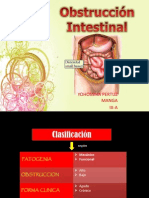 Obstruccion Intestinal