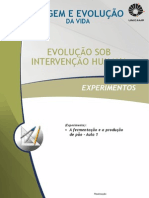 fermentação e produção de pão aula 1