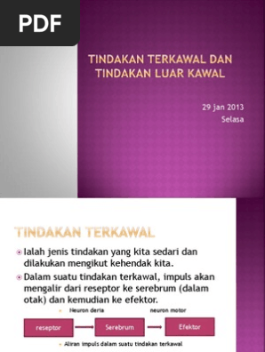 Koordinasi Badan Interactive Worksheet
