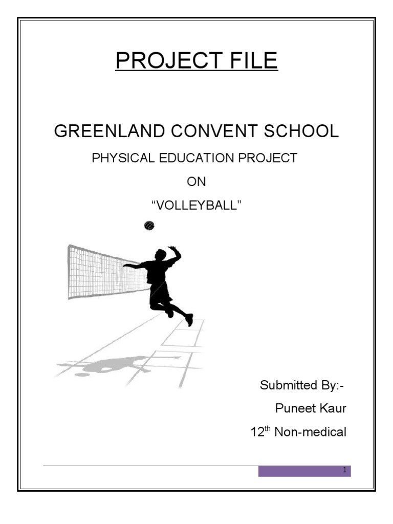 Project File Volleyball