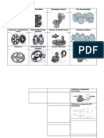 Engranajes Rectos