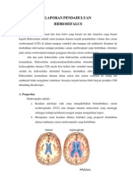 HIDROSEFALUS