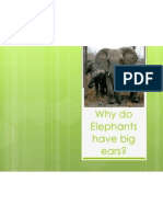 Why Do Elephants Have Big Ears