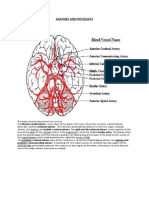 Anatomy and Physiology of Blood Vessel