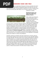 Download Nature Study on Guyana by Ramoutar Ken Seecharran SN12431071 doc pdf