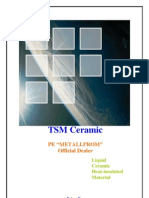 TSM Ceramic PDF
