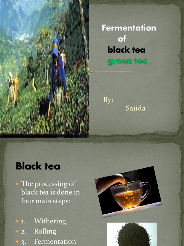 Black Tea Fermentation Process Explained | PDF | Wellness