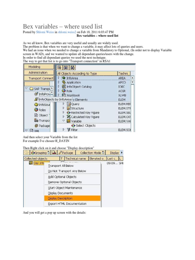 Bex Variables: Where Used List Guide | PDF