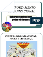 CO Cultura Organizacional