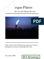 Biogas Flares