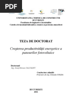 Teza Doctorat Ionut Caluianu