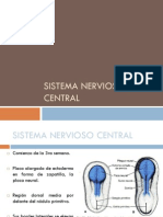 Sistema Nervioso Central